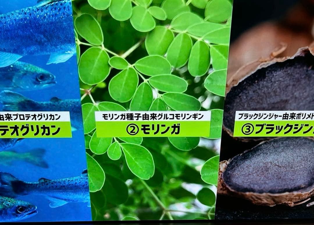 東芝 55V型 4K 有機ELテレビ REGZA 55X9400 2021年製