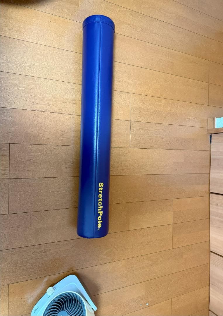 【LPN社正規品】ストレッチポールStretchPole 筋膜ローラー ネイビー