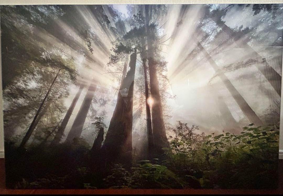 きーちゃん　YELLOWKORNER フォトアート