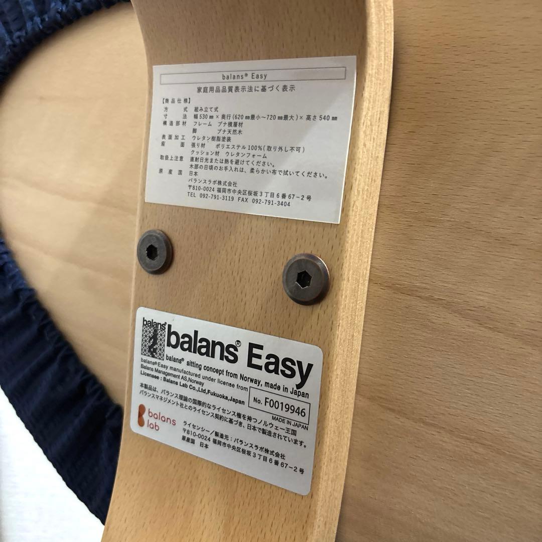 【極美品】balans Easy バランスイージー 通常フレーム オプション付き