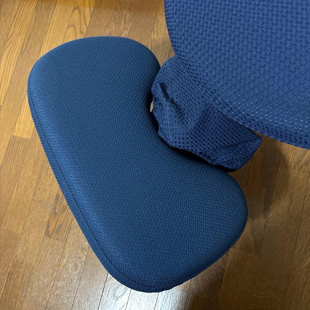 【極美品】balans Easy バランスイージー 通常フレーム オプション付き