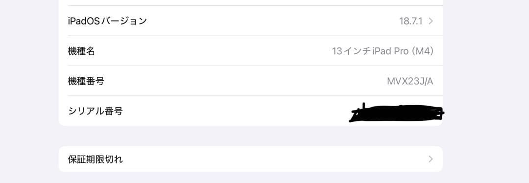 yuanchanさん専用 iPad Pro M4 13㌅