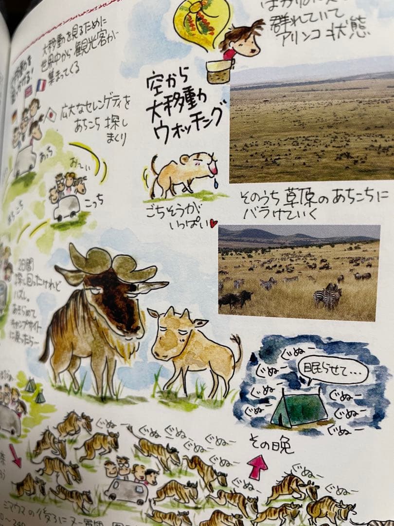 ケニア・タンザニア旅ガイド まるまるサファリの本 ver.3(発行:サワ企画)