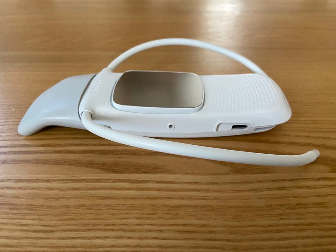 ソニー SONY REON POCKET 5 レオンポケット5