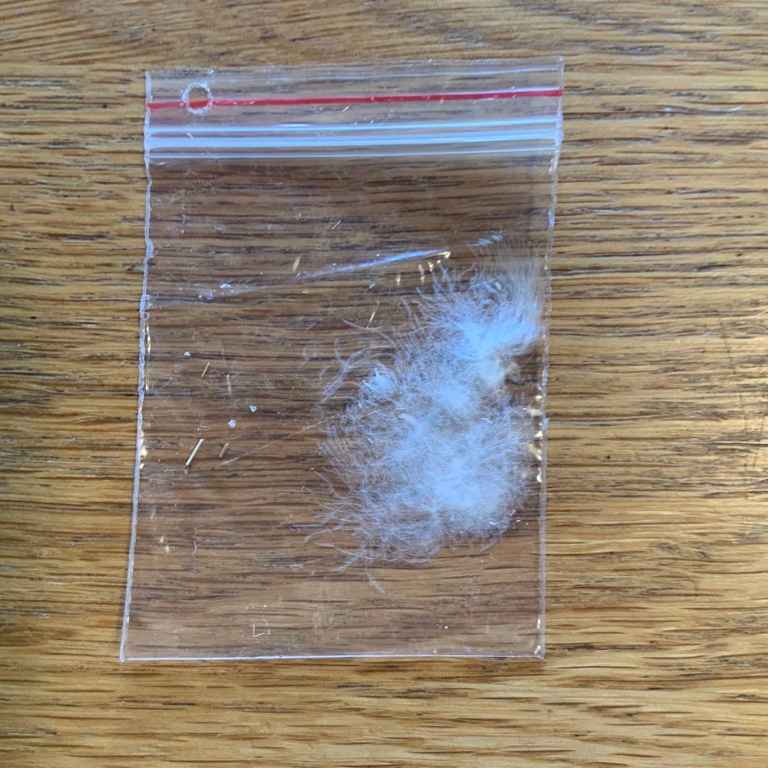 ホワイトグースダウン95％ 羽毛肌掛け布団(ダウンケット)シングル