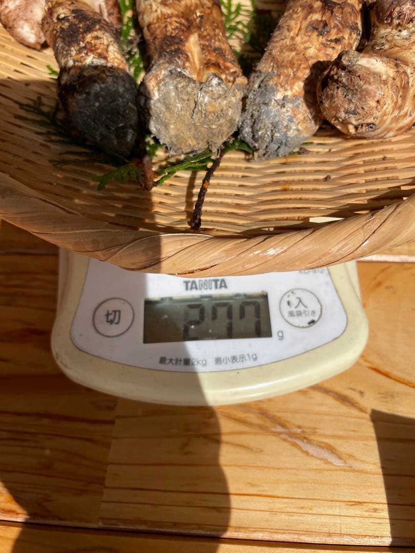 【天然 松茸 マツタケ】277g 送料込み！