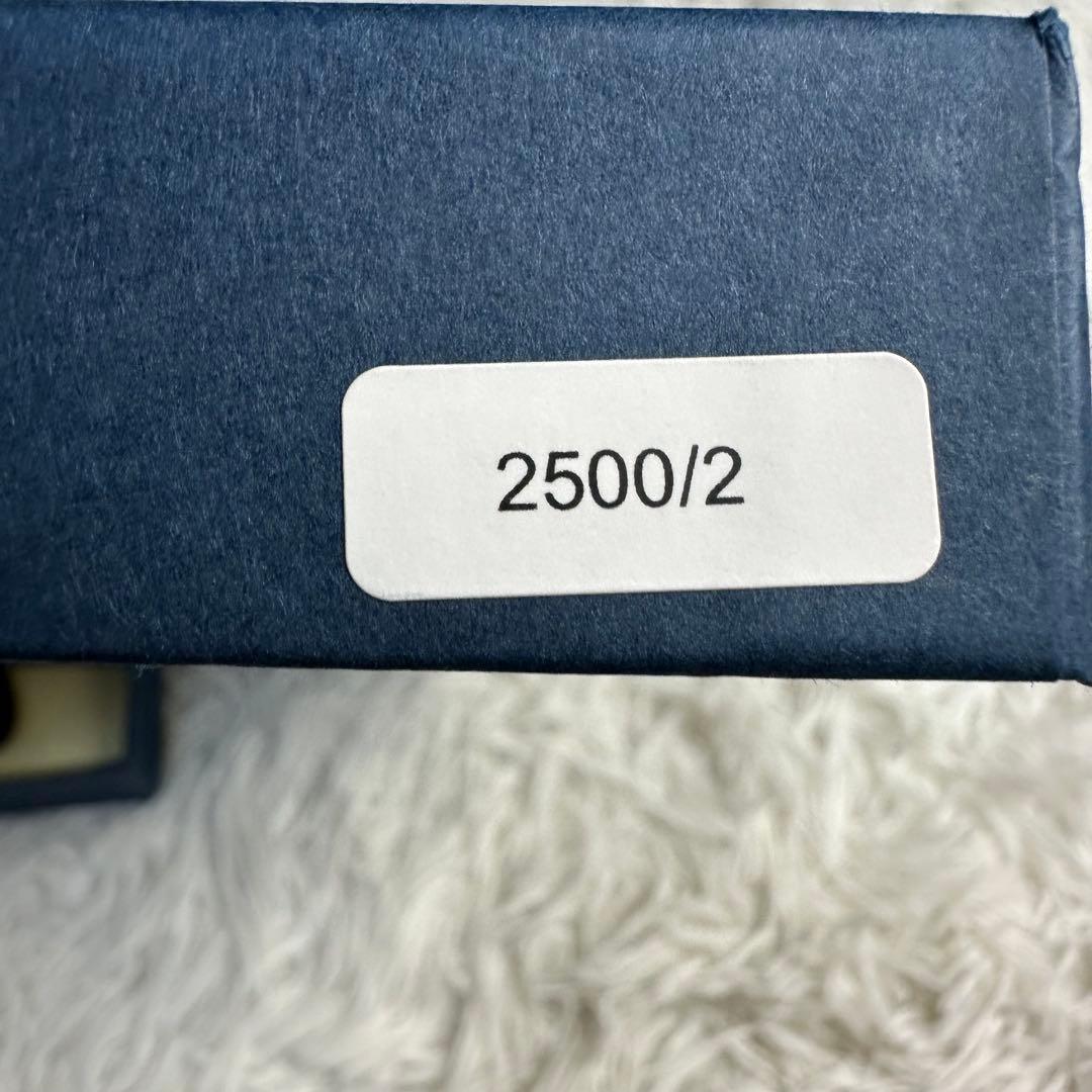 英国製アルバートサーストン クラシック6ボタン留ブレイス 2500/2 ペイズリ