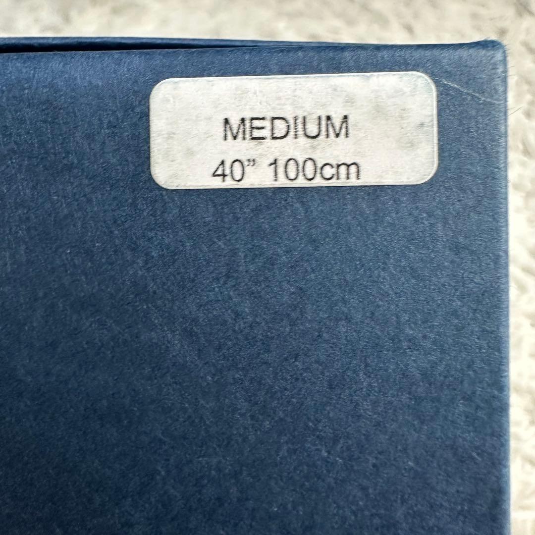 英国製アルバートサーストン クラシック6ボタン留ブレイス 2500/2 ペイズリ