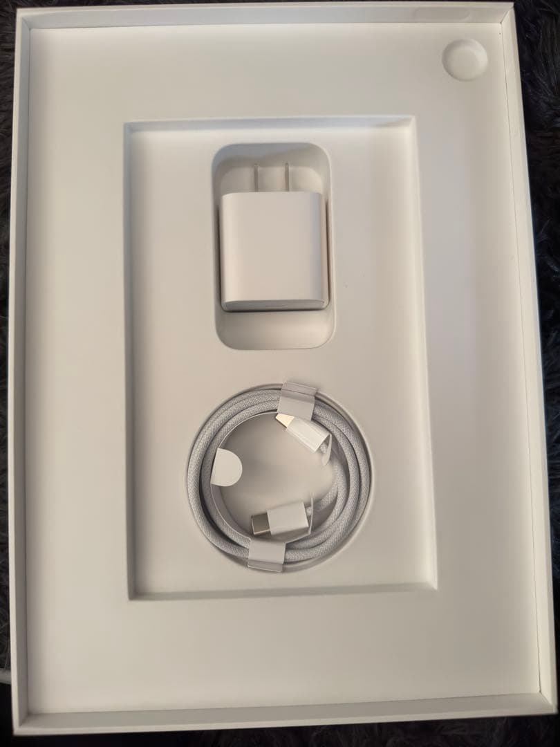 Apple iPad 10.9インチ シルバー 本体 (A16)