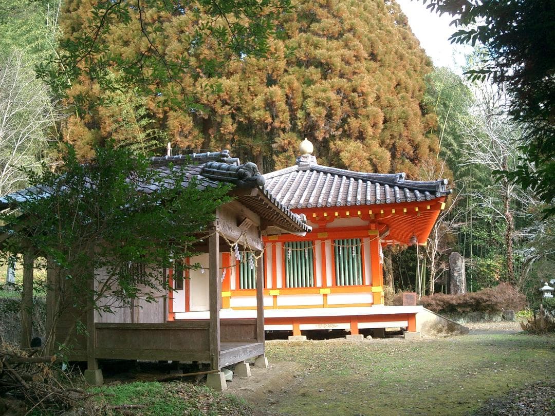 カシオ EXILIM EX-S3 コンデジ 純正バッテリー新品 2GBSDカード