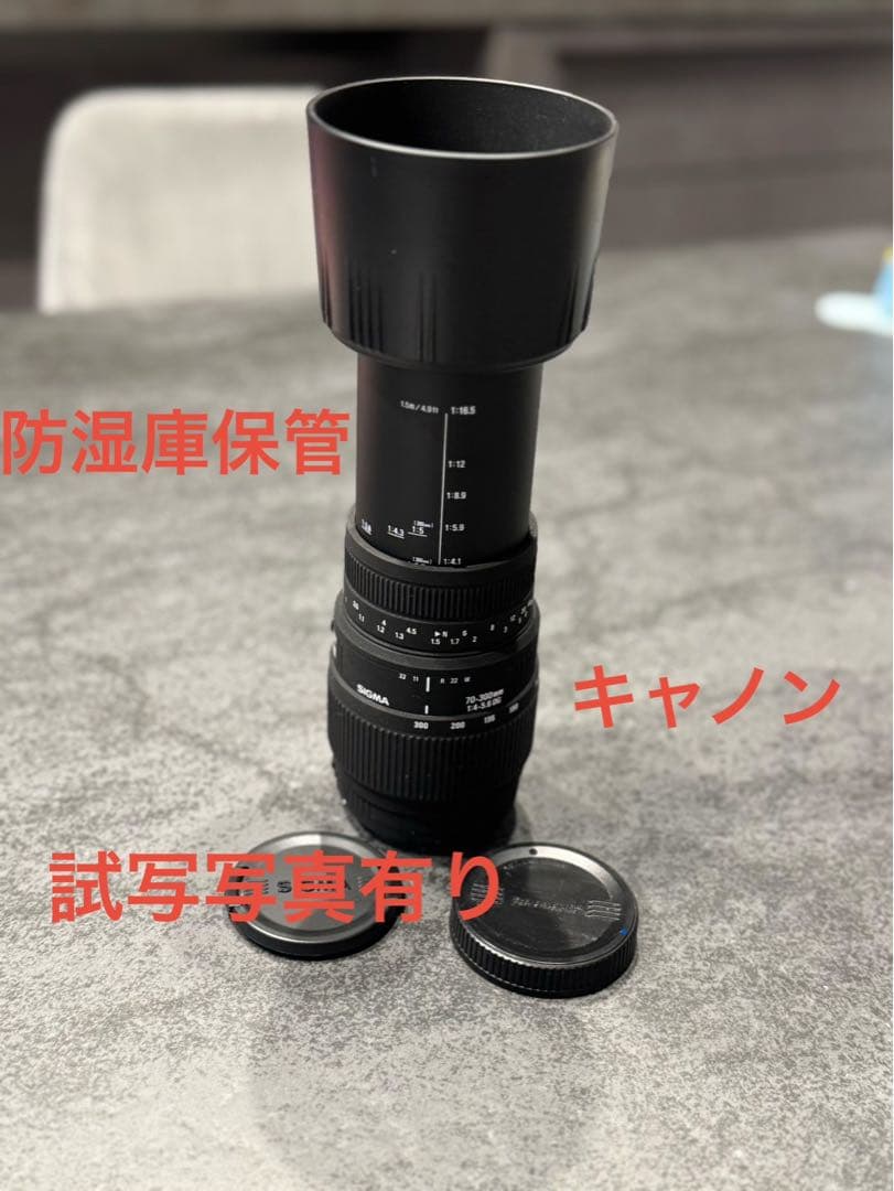 SIGMA 70-300mm F4-5.6 DG ズームレンズ