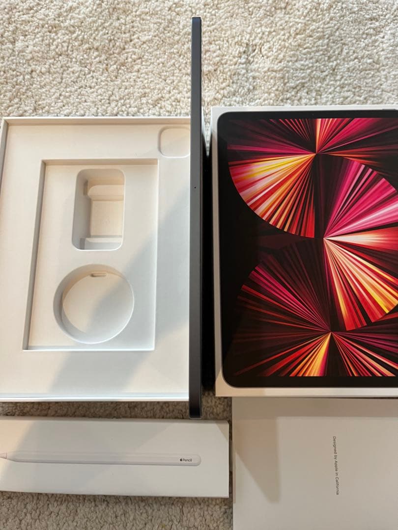 おまけ付【第3世代】iPad Pro 11インチ+Apple pencilケース