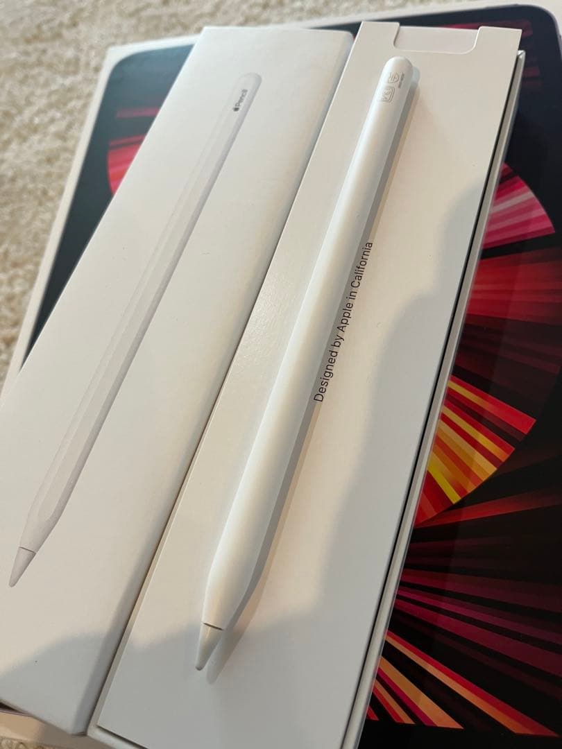 おまけ付【第3世代】iPad Pro 11インチ+Apple pencilケース
