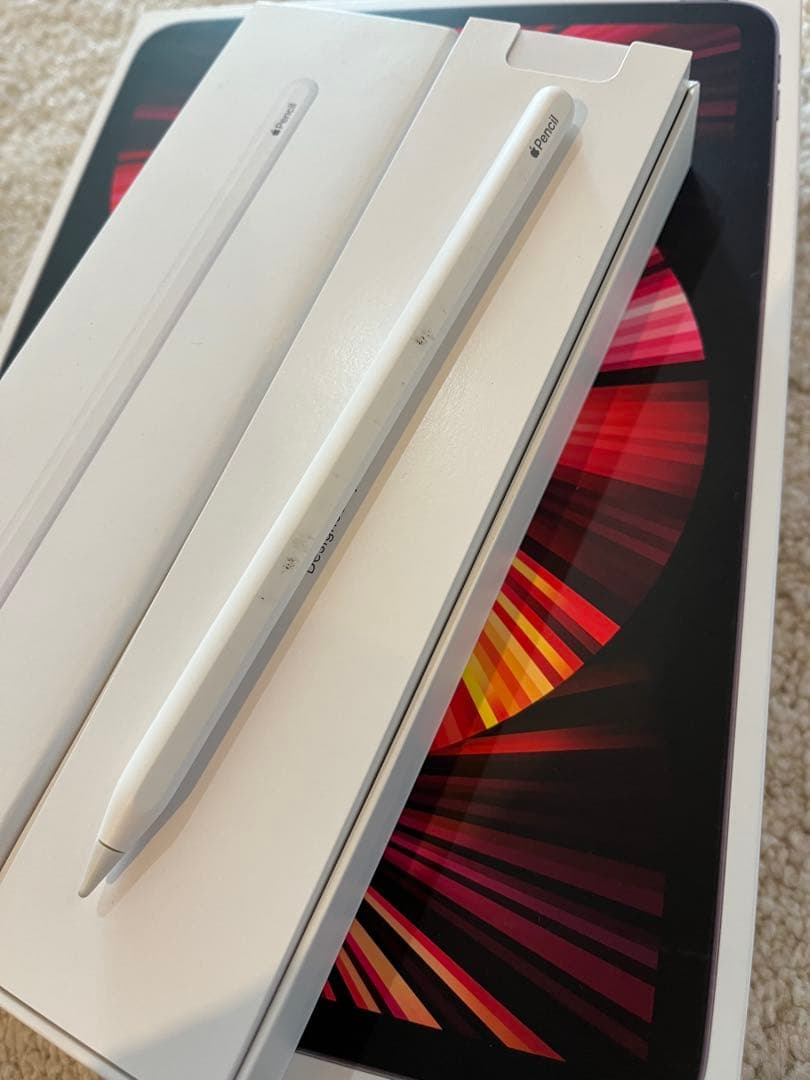 おまけ付【第3世代】iPad Pro 11インチ+Apple pencilケース
