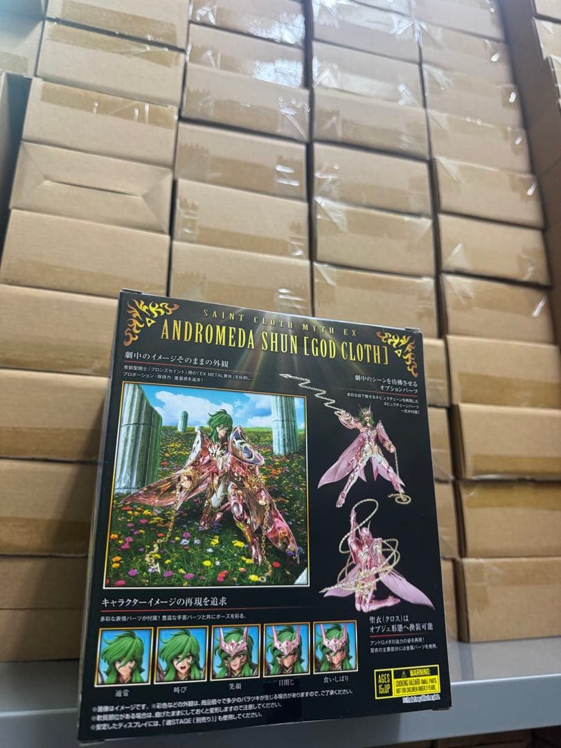 BANDAI 聖闘士聖衣神話 アンドロメダ瞬 神聖衣 冥王編