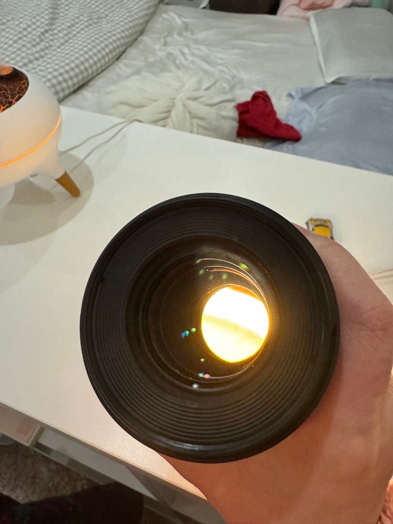 Canon EF100mm F2.8L マクロ IS USM