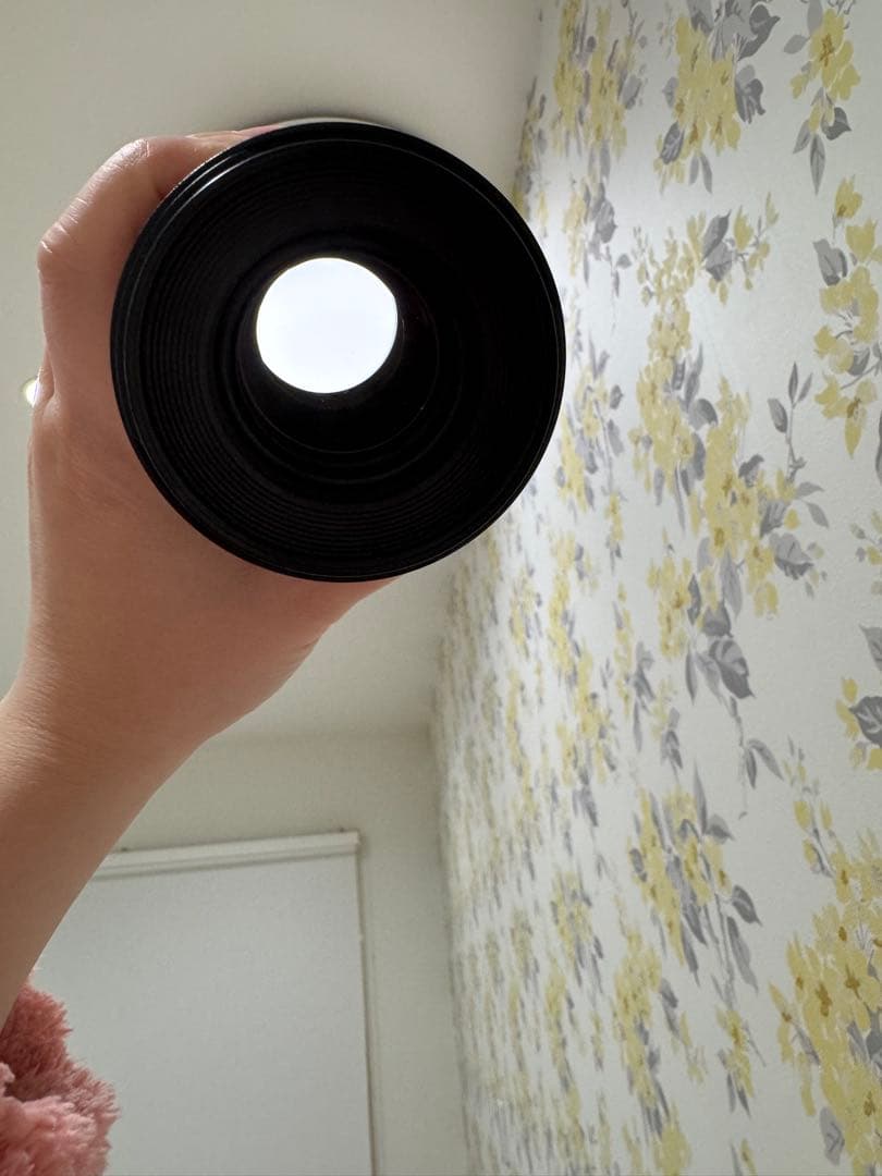 Canon EF100mm F2.8L マクロ IS USM