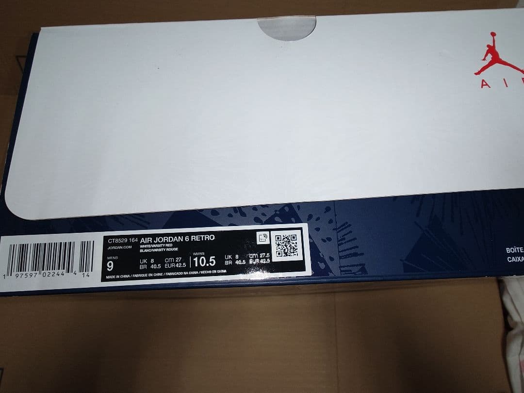 送料込 AIR JORDAN 6 RETRO　CT8529-164