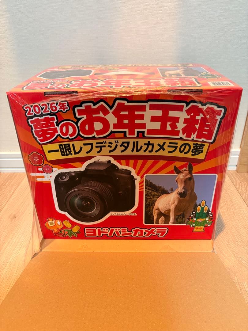 ヨドバシカメラ 夢のお年玉箱 2026 一眼レフデジタルカメラの夢