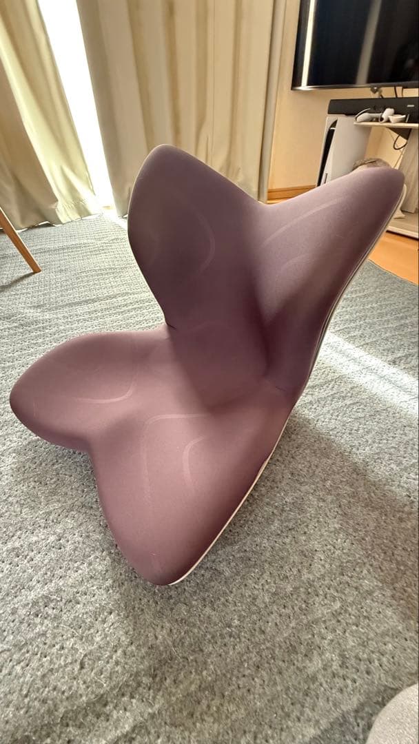 Style クッションチェア プレミアムパープル
