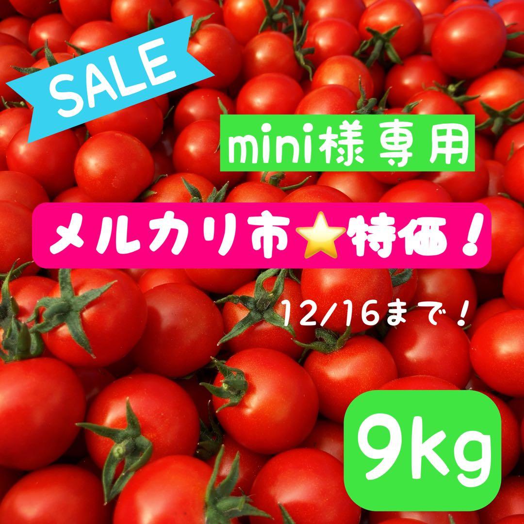 【mini】ミニトマト　9kg ※19日午前中着指定