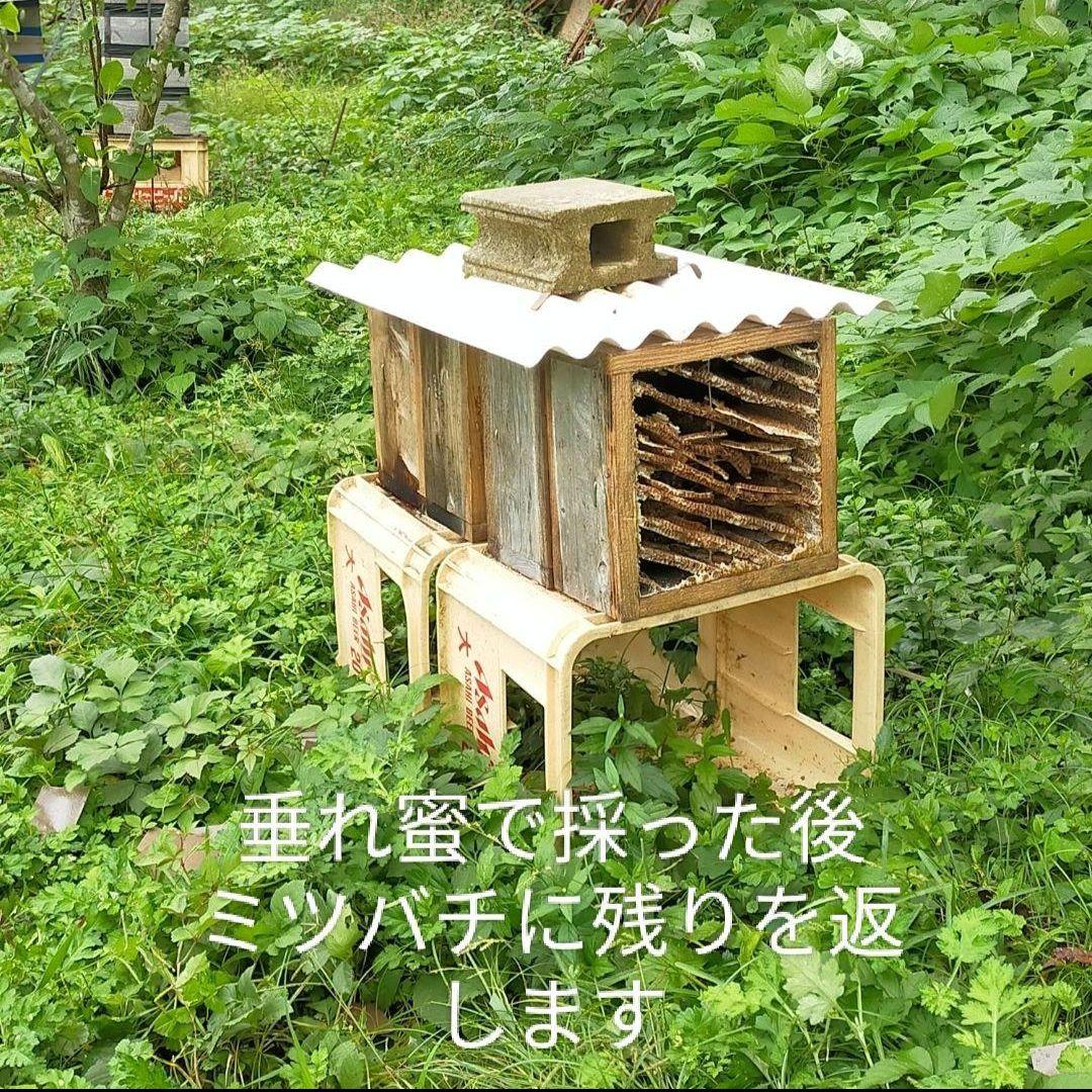 【希少！】ニホンミツバチの百花蜜の蜂蜜