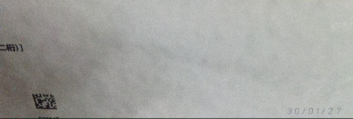 【新品未使用品】ロイヤルカナン　ミニインドアパピー　10kg