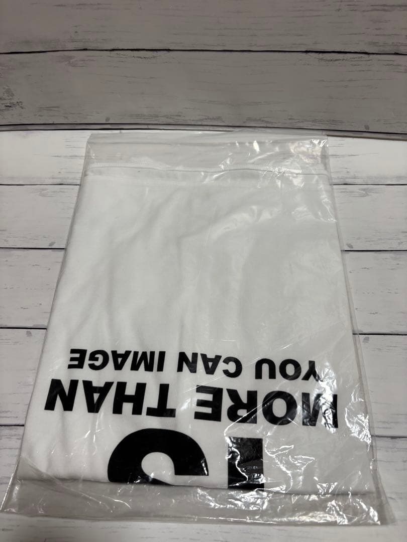 FRAMeWORK ロゴロンTee ホワイト