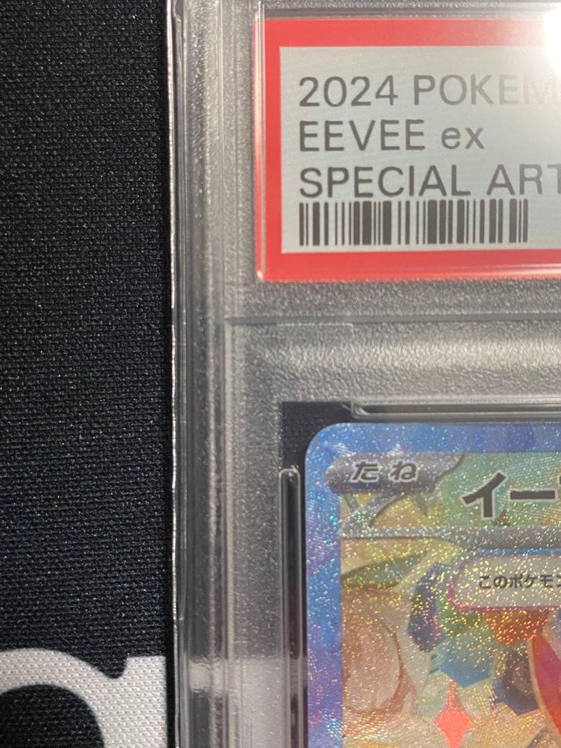 【PSA10】ポケモンカード イーブイex SAR テラスタルフェスex