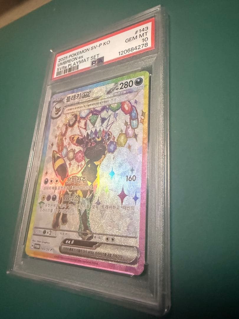 PSA10 ブラッキーex 韓国　テラスタルフェスex