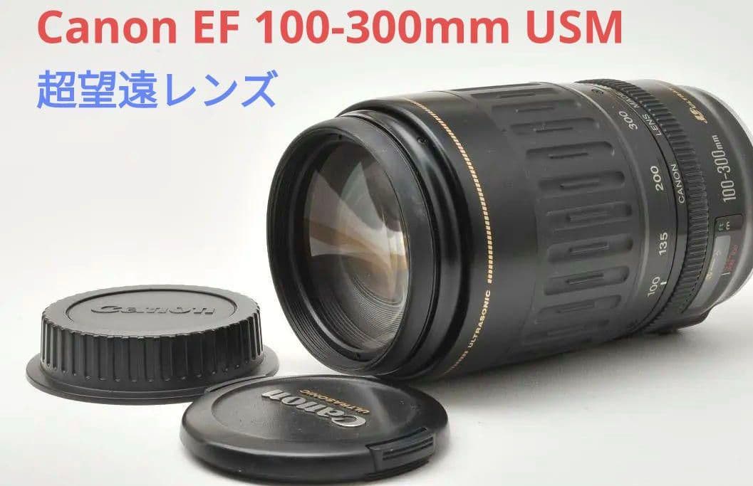 10月5日限定価格♪Canon EF 100-300mm F4.5-5.6