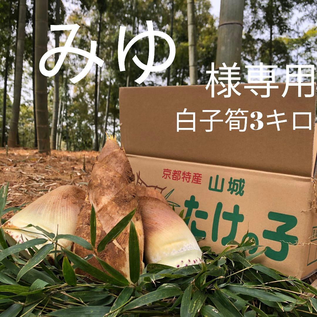 みゆ 白子筍 3キロ