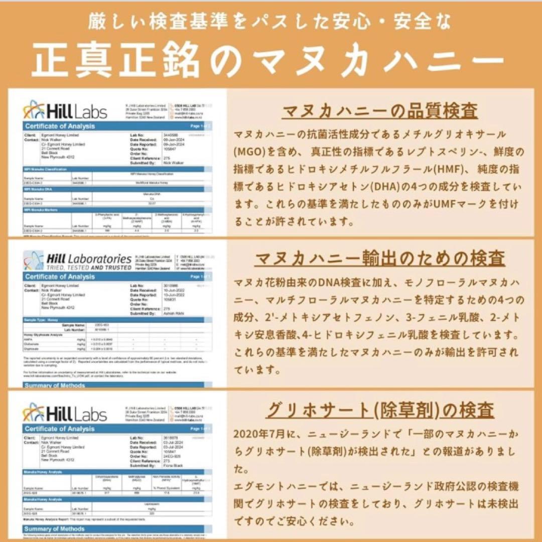 【希少な最高グレード】エグモント マヌカUMF25+/MGO1200+ 250g