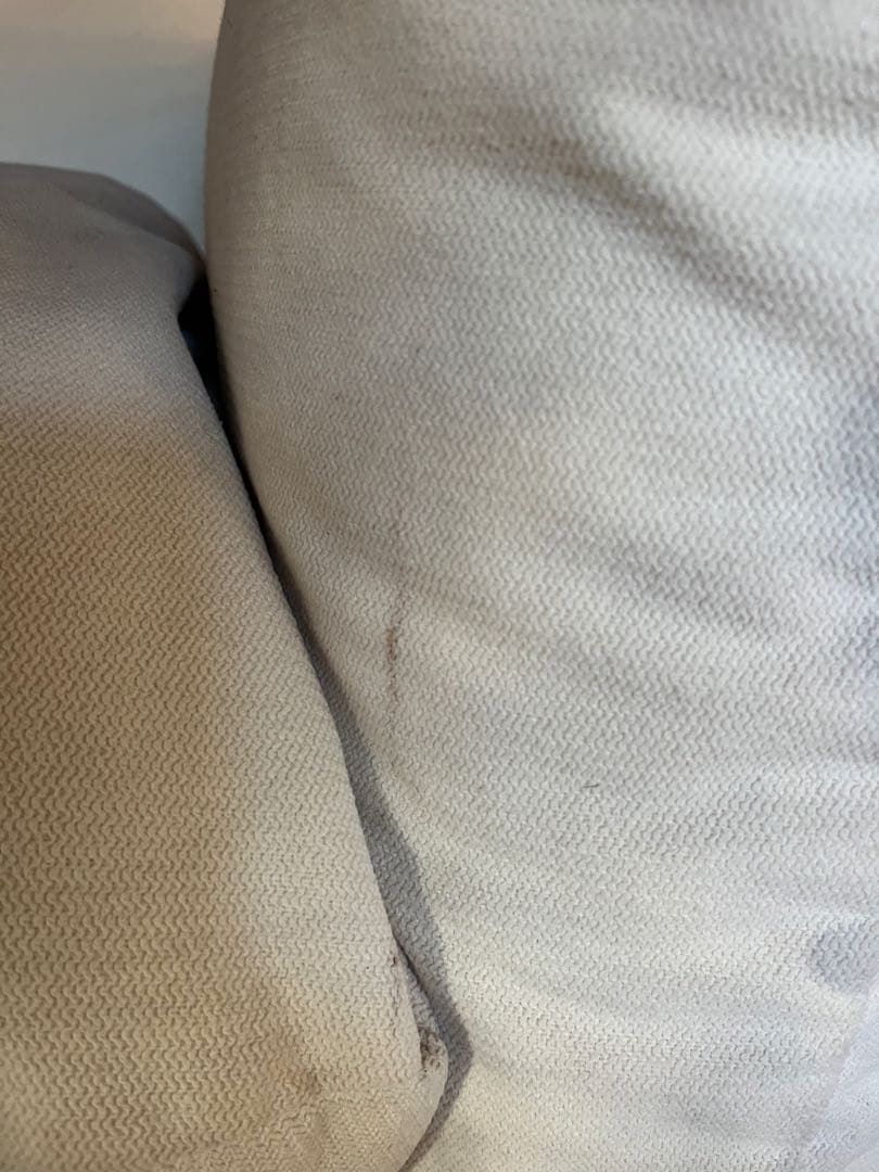 五郎　アルフレックスマレンコ