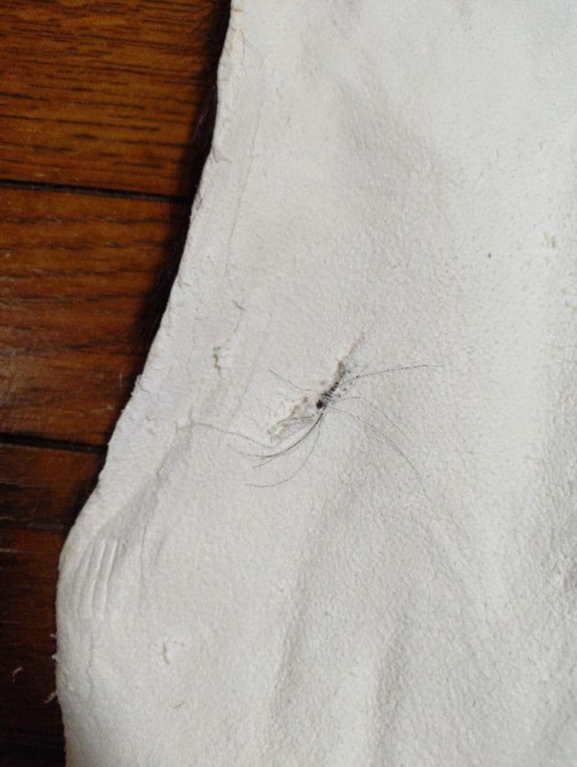 ヤギ　毛皮　ラグ　約70×90cm　ウサギの毛皮 管理番号3