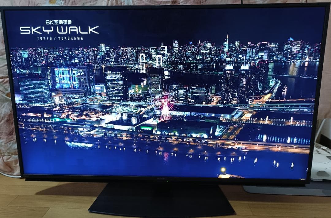 りいちさま限定　22年製美品SHARP AQUOS 50V型4T-C50EN2