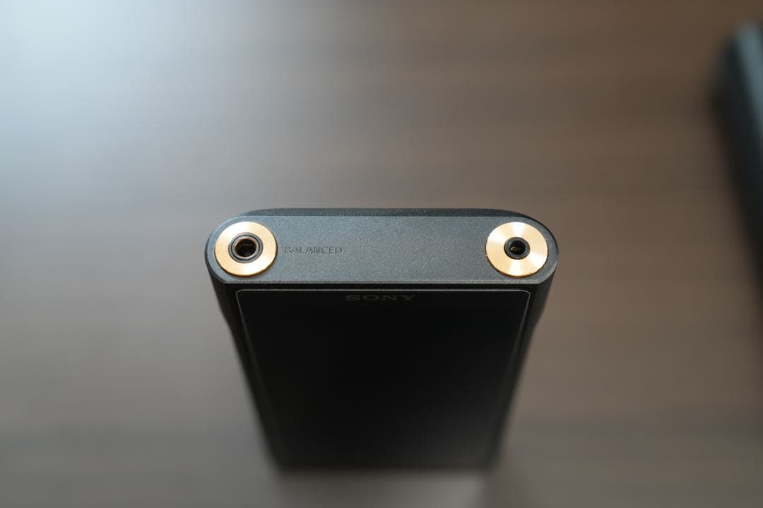 美品 SONY ウォークマン NW-WM1AM2 ソニー