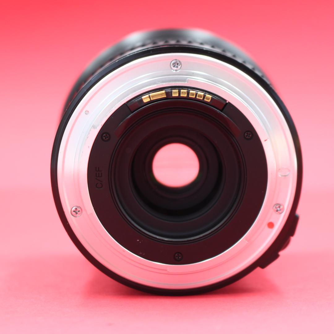 ⭐️超広角⭐️Tokina 19-35mm F3.5-4.5⭐️キャノン用⭐️