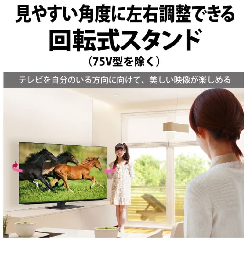 SHARP/シャープ 65V 4Kテレビ 2022年製