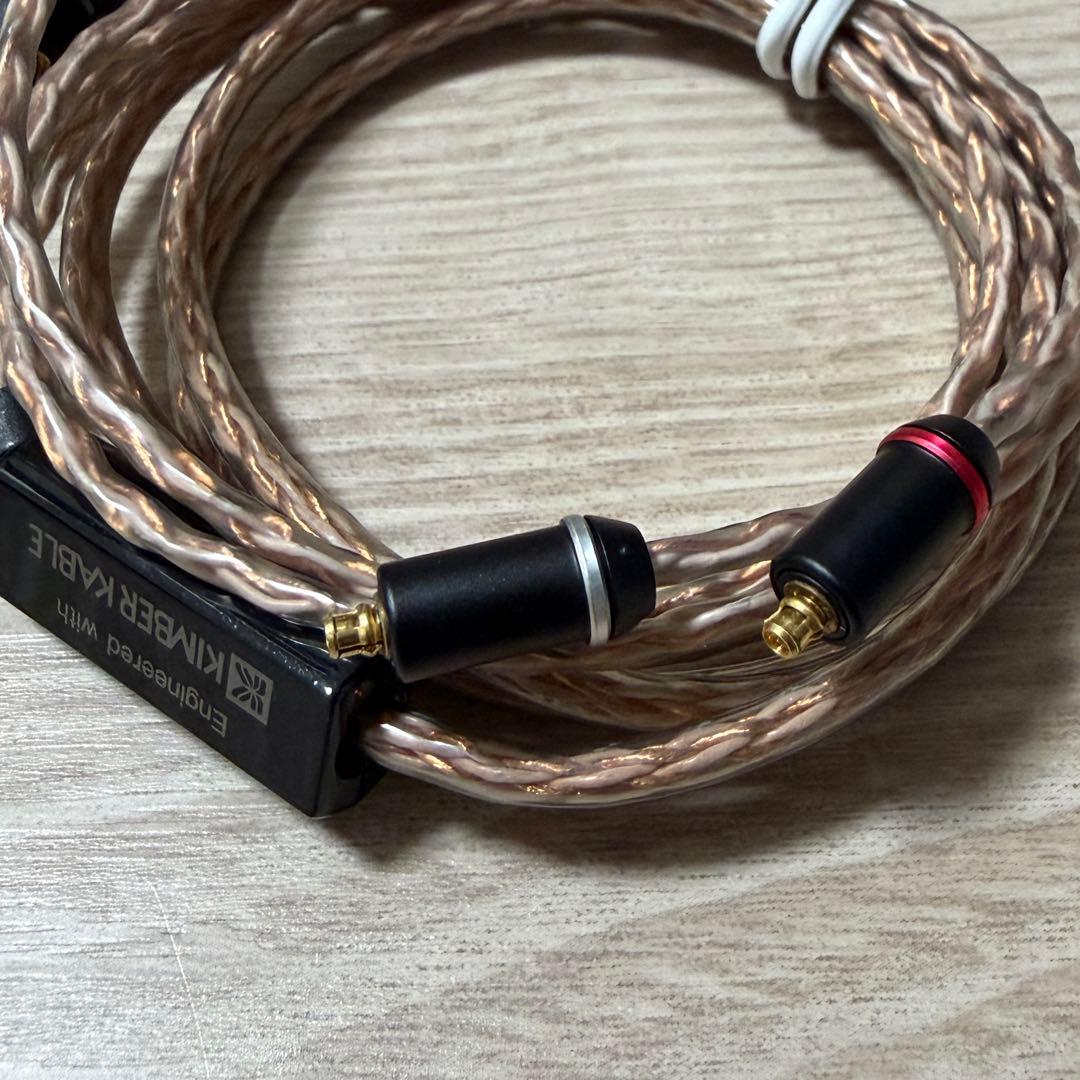 SONY XBA-Z5 12万円相当超豪華セット　本体・ケーブルのみ　動作確認済