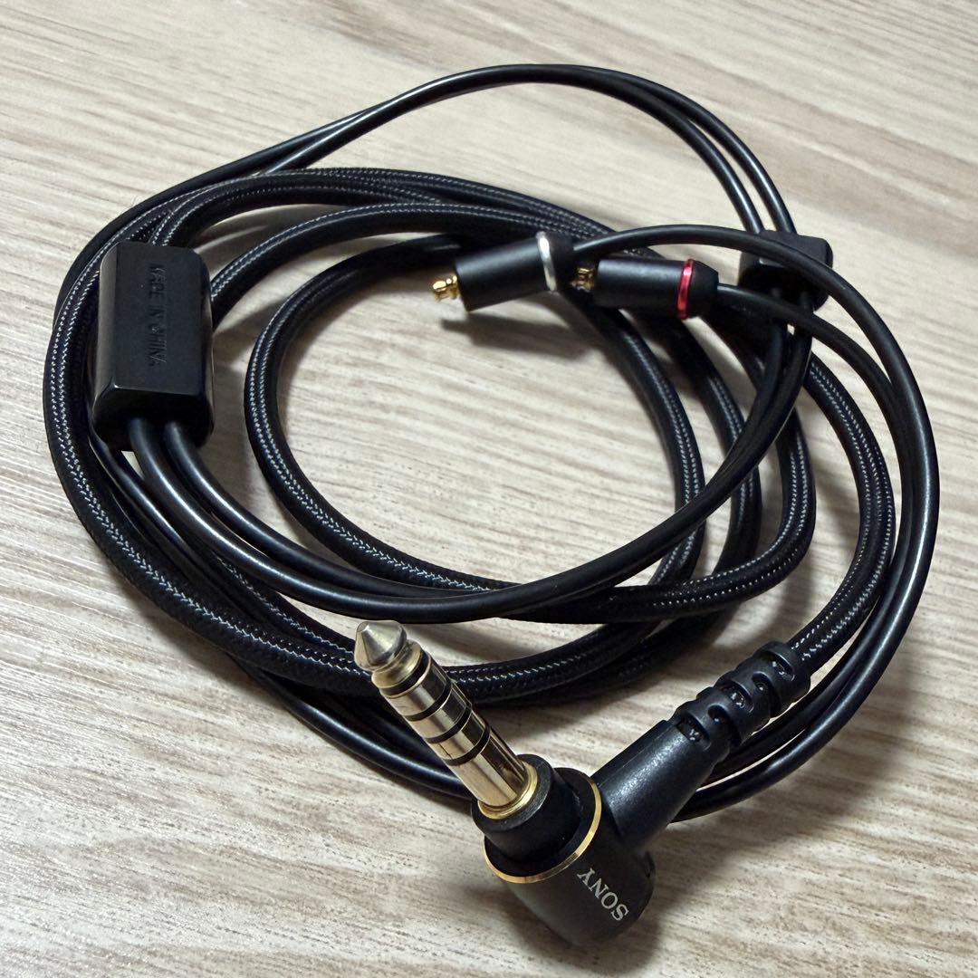 SONY XBA-Z5 12万円相当超豪華セット　本体・ケーブルのみ　動作確認済