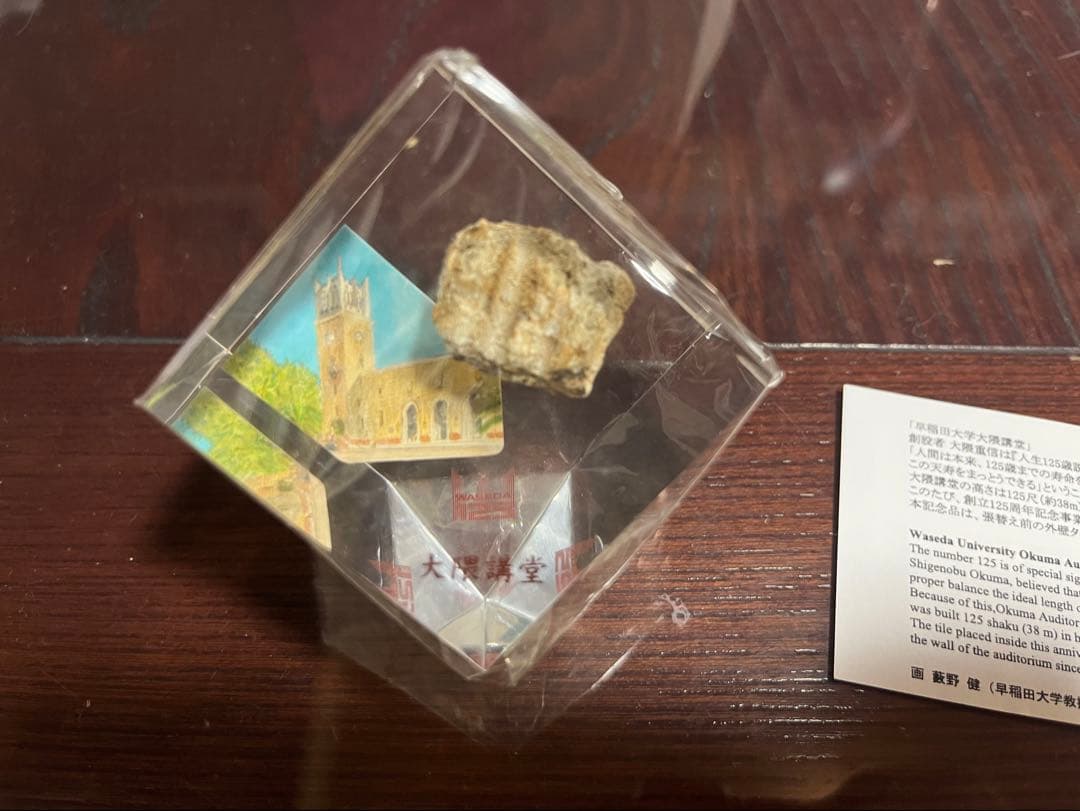 【希少】早稲田大学　125周年　記念タイル