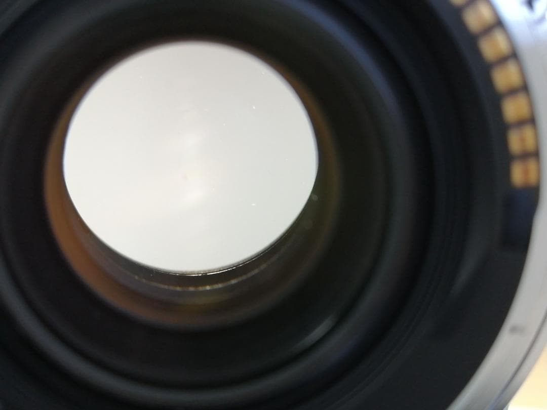 レンズ(単焦点) Canon Compact Macro EF 50mm F/2.5 #7874