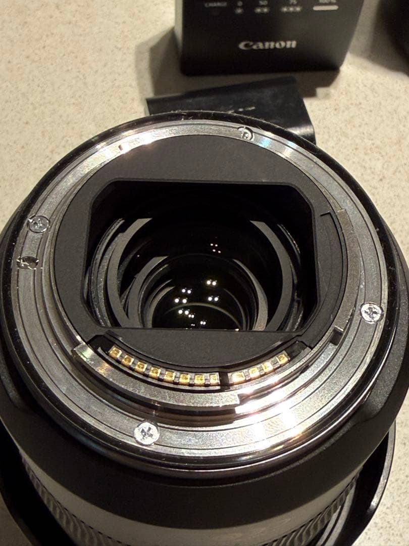 【美品/動作品】キヤノン Canon EOS R RF24-105F4 Lセット