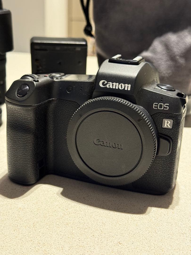 【美品/動作品】キヤノン Canon EOS R RF24-105F4 Lセット