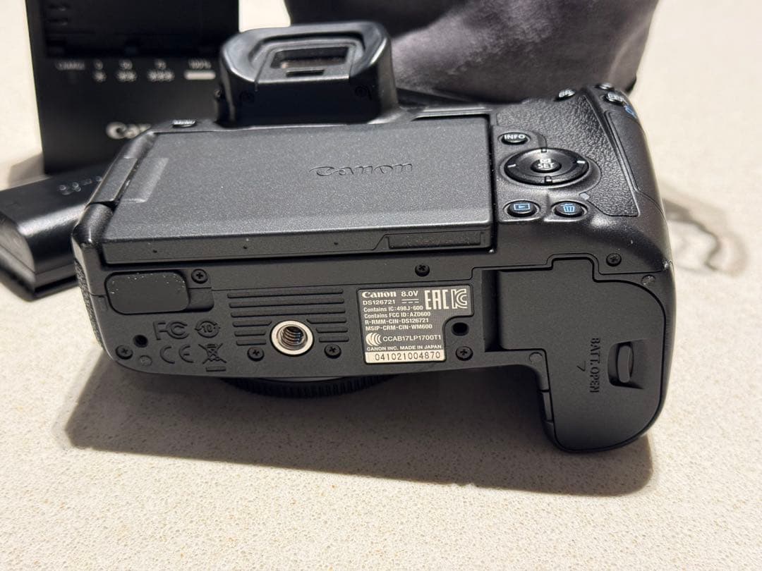 【美品/動作品】キヤノン Canon EOS R RF24-105F4 Lセット