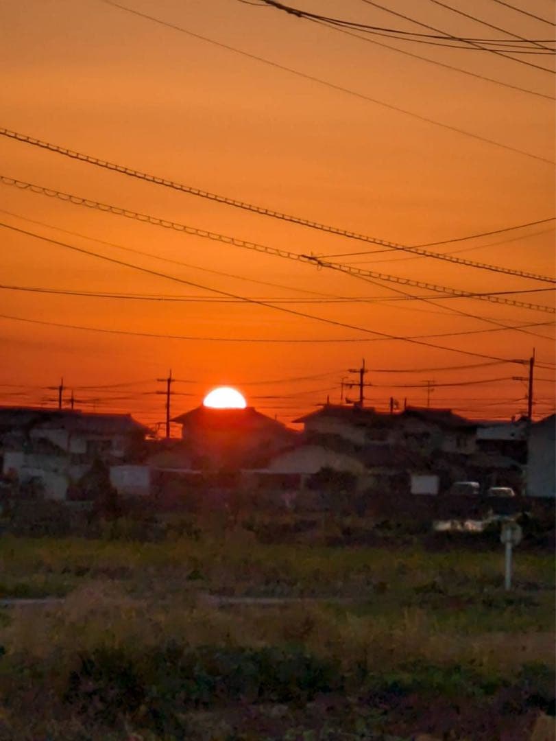 14〜26までお休みさん　令和5年度新米 ２０kｇ　白米