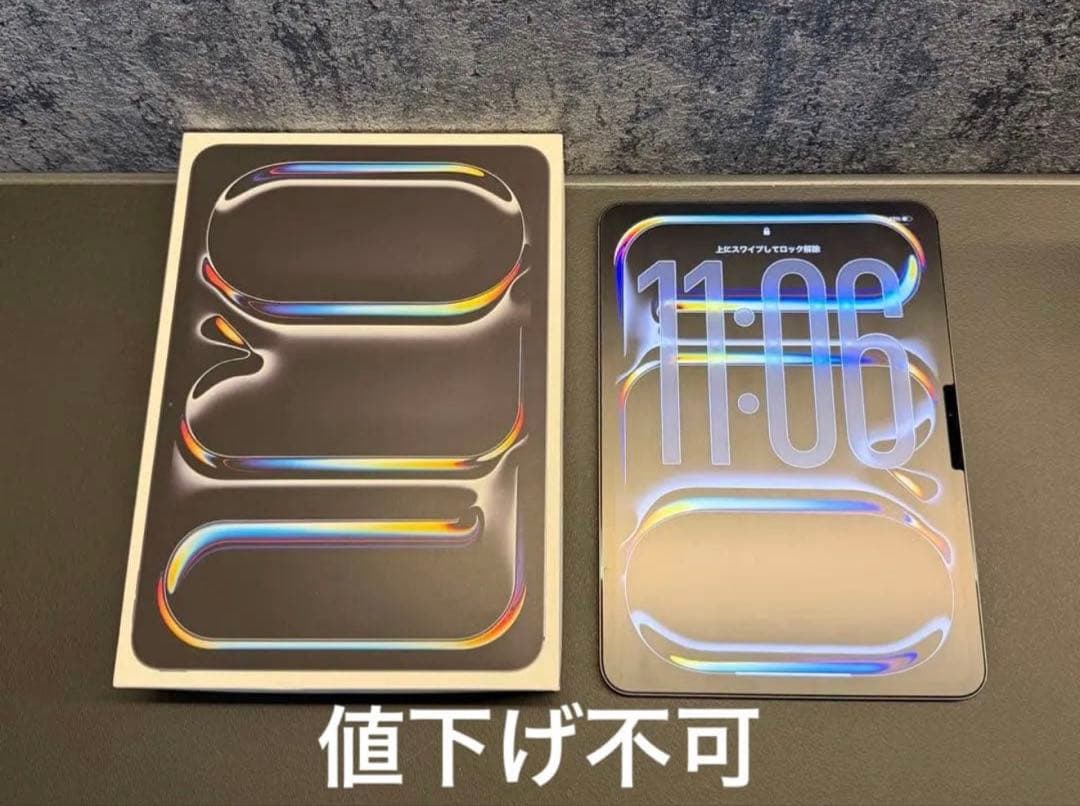 【極美品】iPad Pro M5/11インチ Wi-Fiモデル 256GB