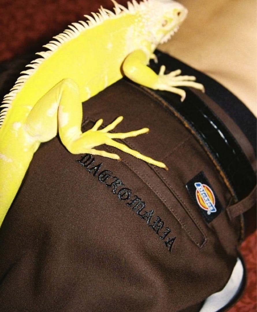 DICKIES / PLEATED TROUSERS ワコマリア ディッキーズ