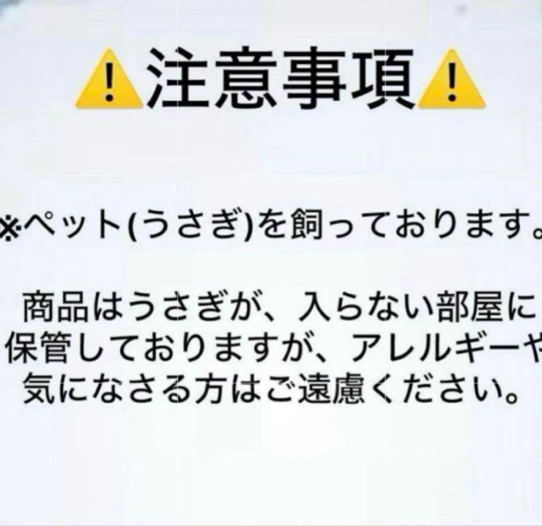 呪術廻戦 伏黒恵 ワイヤレスイヤホン